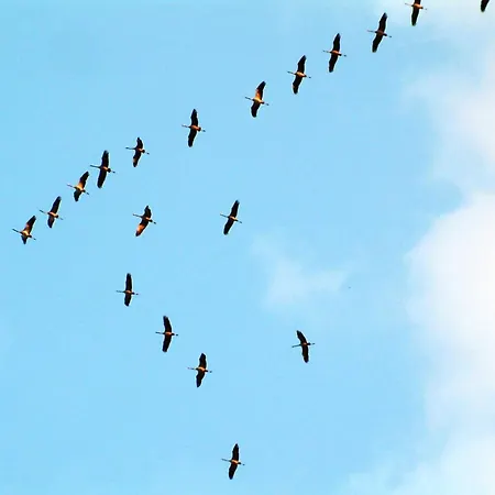 Lägenhet Haus Jasmin *