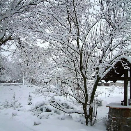 Lägenhet Haus Jasmin Bodstedt